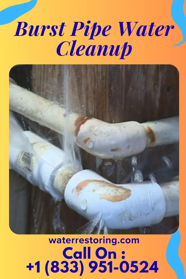 Burst Pipe Water Cleanup in Grand River, OH