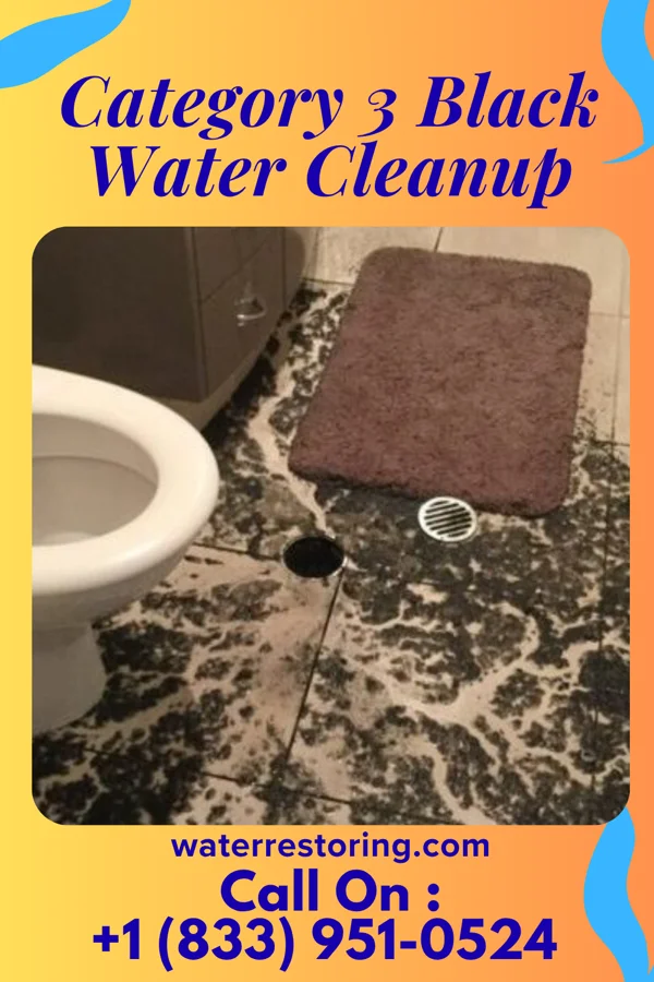 Category 3 Black Water Cleanup in Grand River, OH