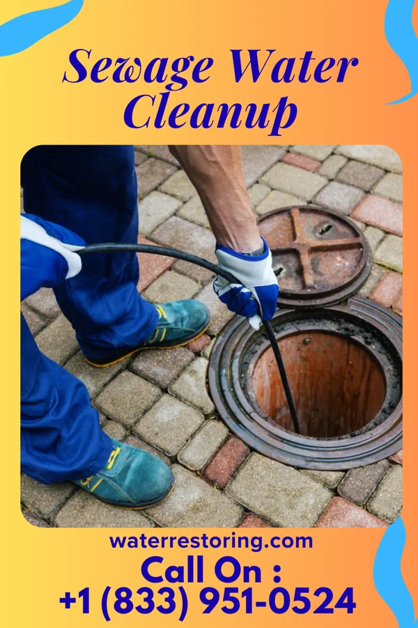 Sewage Water Cleanup in Grand River, OH